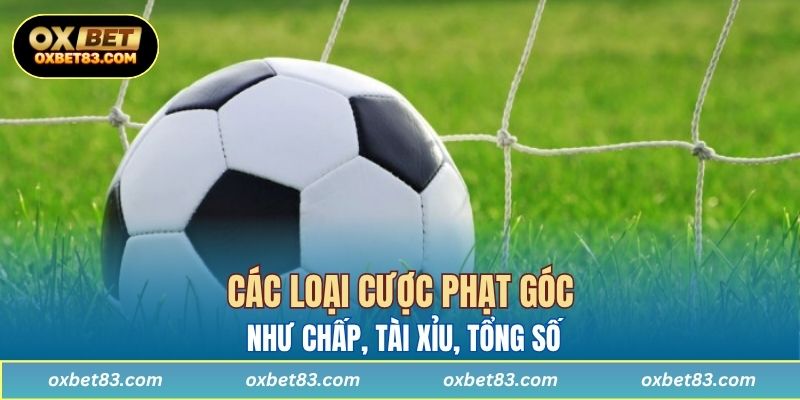 Các loại cược phạt góc như chấp, tài xỉu, tổng số được minh họa trực quan tại OXBET