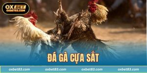Đá gà cựa sắt