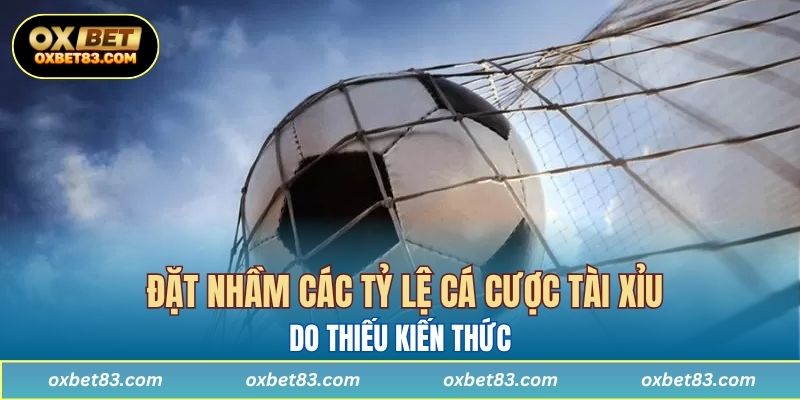 Các nguy cơ khi đặt nhầm các tỷ lệ cá cược tài xỉu do thiếu kiến thức