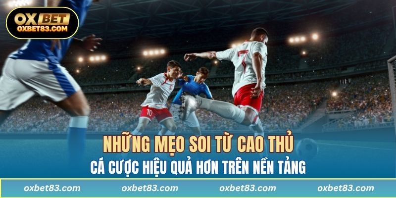 Những mẹo soi từ cao thủ giúp người chơi cá cược hiệu quả hơn trên nền tảng