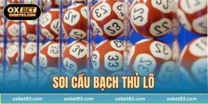 Soi cầu bạch thủ lô